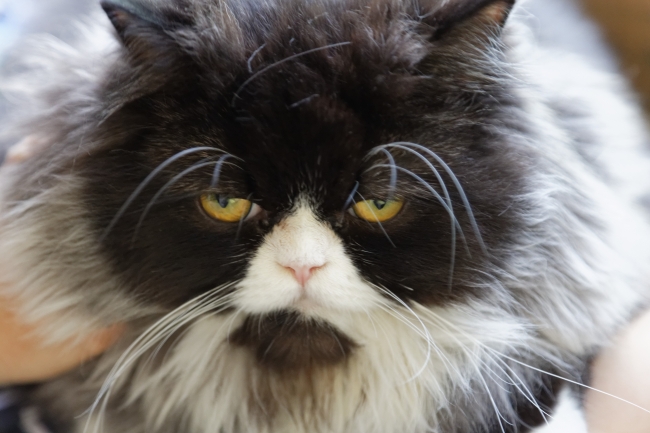 Famille et amis-NOV14-032